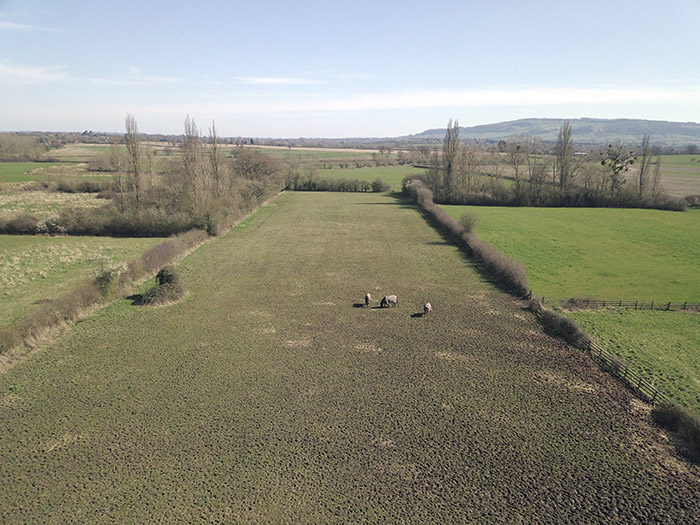 Drone aerial shot of field